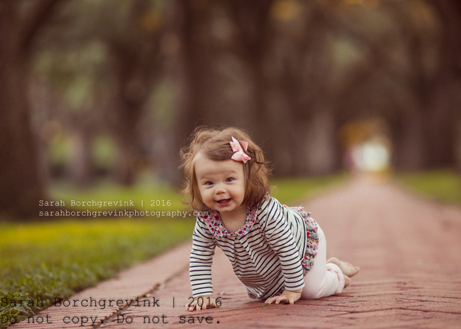 Sarah Borchgrevink Photography: Houston Maternity Photographer