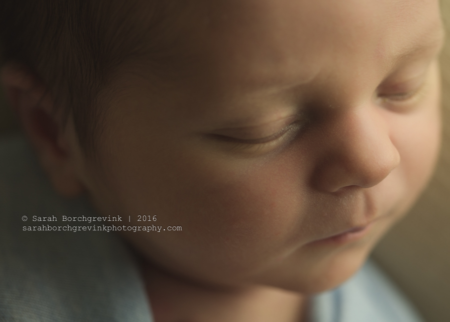 Cypress Newborn Portrait Photographer