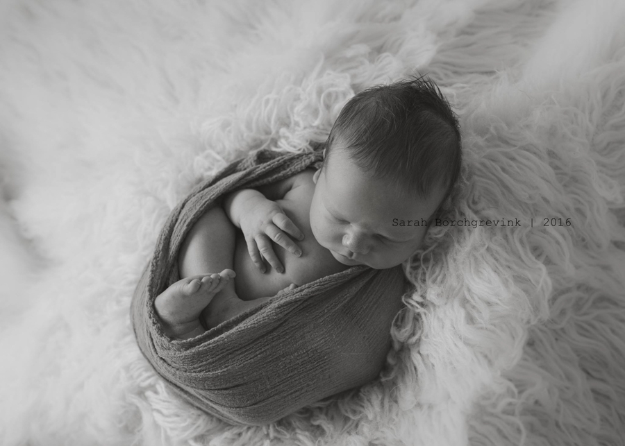 Northwest Houston Newborn Photography | Sarah Borchgrevink