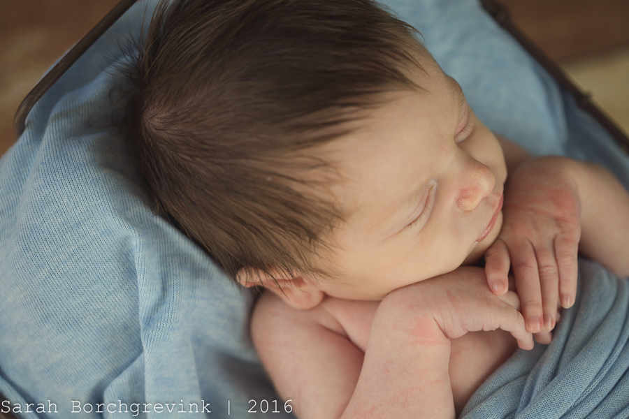 Newborn Photography Cypress
