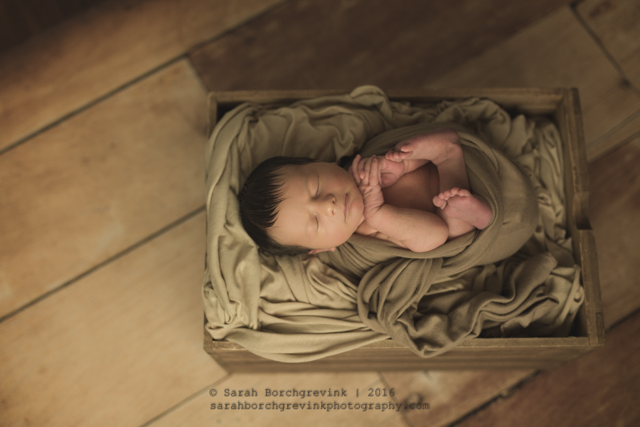Houston Newborn Photographer | Maternity & Newborn Portraits in Houston Texas
