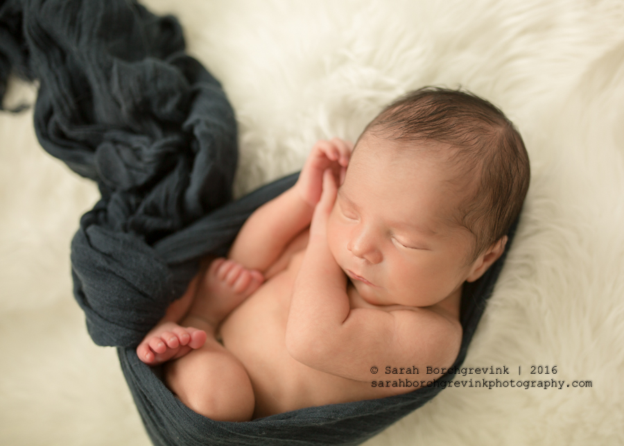 Newborn Photography Tomball TX