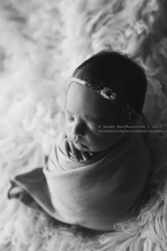 Houston Newborn Photographer in Home