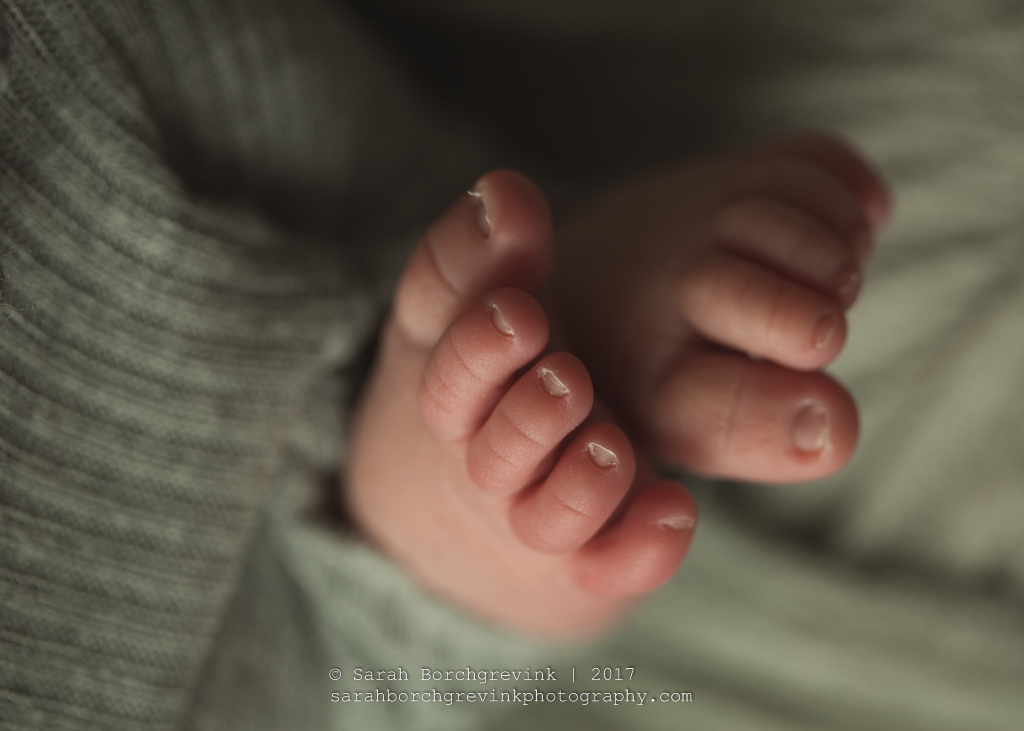 Sarah Borchgrevink Photography - Family & Newborn Baby Photography