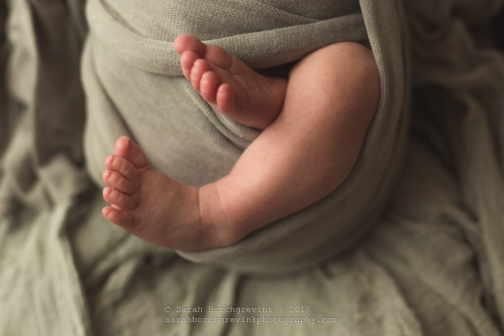Newborn Baby Photography in Houston - Sarah Borchgrevink Photography