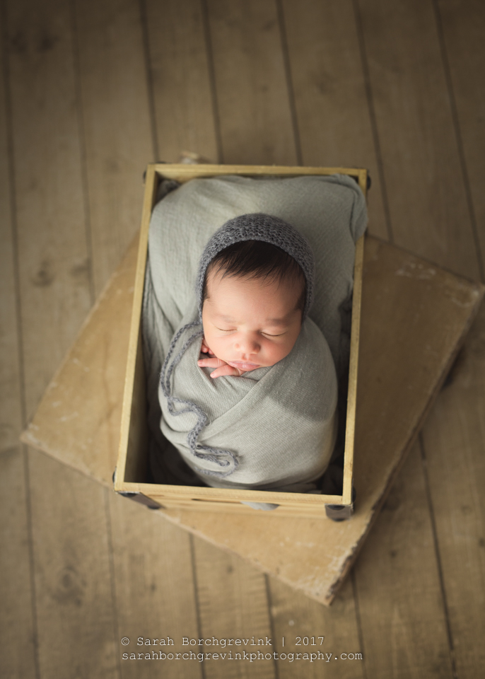 Houston Newborn Photographer | Newborn & Baby Portrait Photography