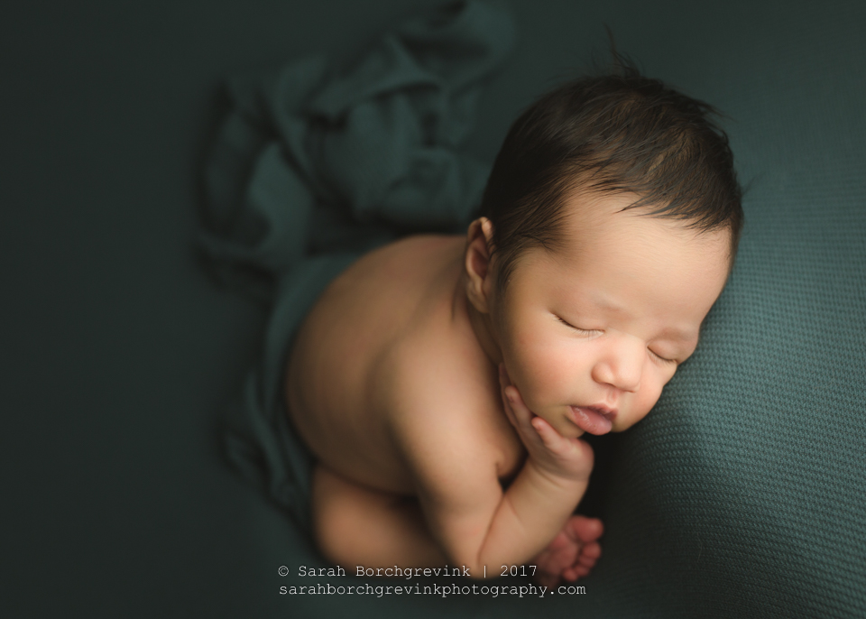 Newborn & Maternity Photographer | Houston Family Photographers