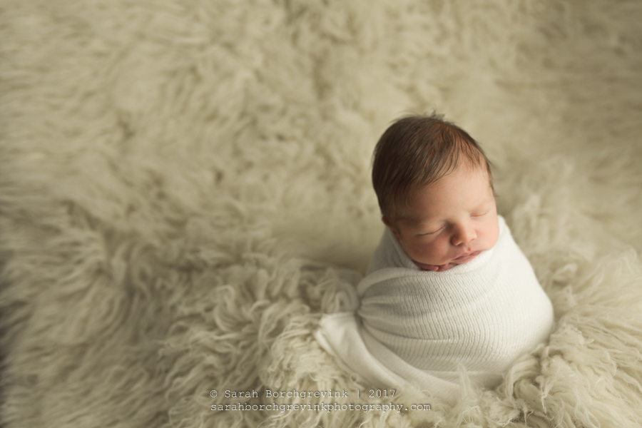 Houston TX Newborn Photography.JPG