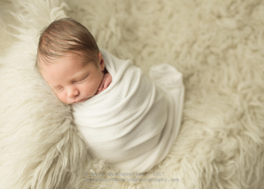 Newborn Portraits Houston Texas.JPG