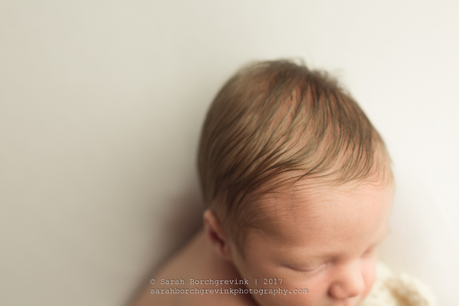 Houston Newborn Photographer: Sarah Borchgrevink Photography