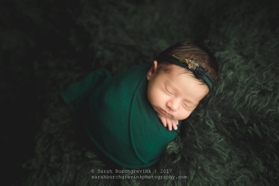 Newborn Photographers Houston.JPG