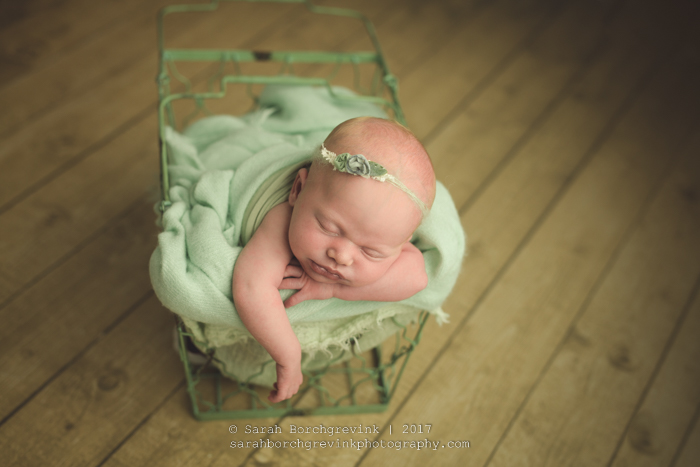 Meyerland Newborn & Family Photography