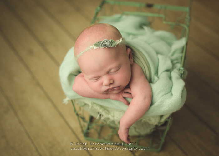 Sarah Borchgrevink: Bellaire TX Newborn Photographer