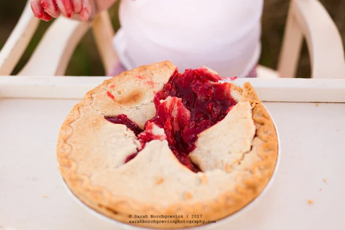 Let’s Go to the County Fair | Houston Cake Smash & Family Session 