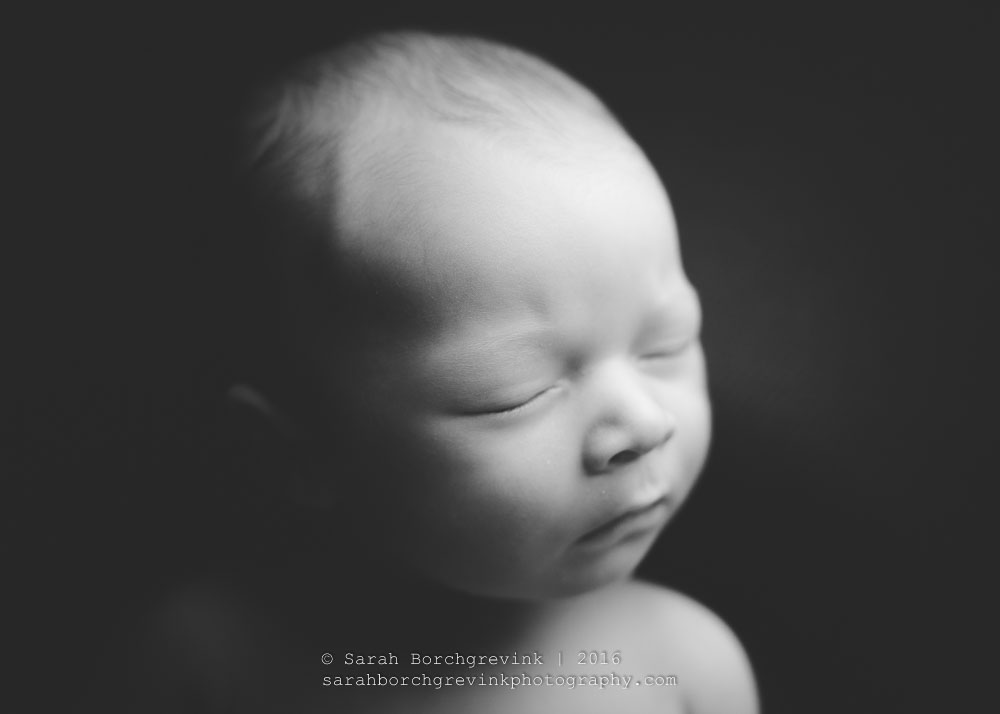 Newborn Photography Houston