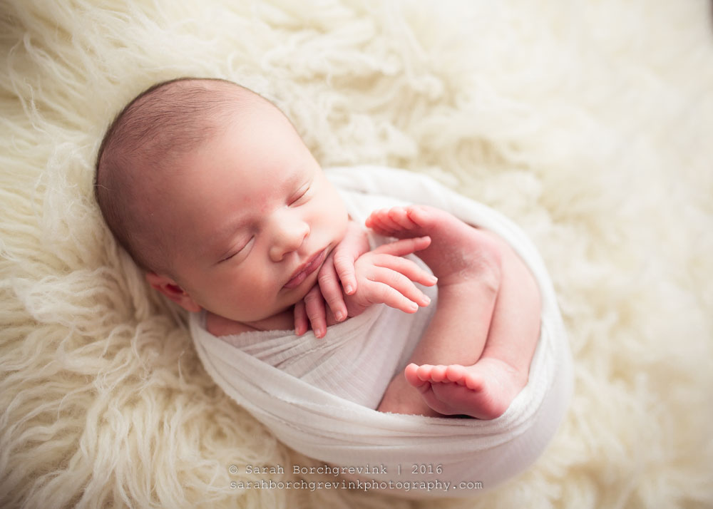 Newborn Boy Photography 