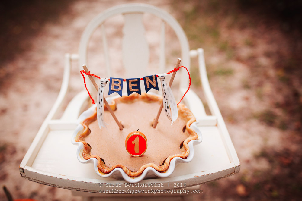 Houston Cake Smash & Baby Photography