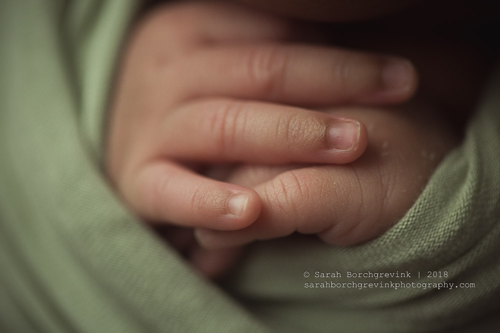 Baby girl macro image of newborn hands