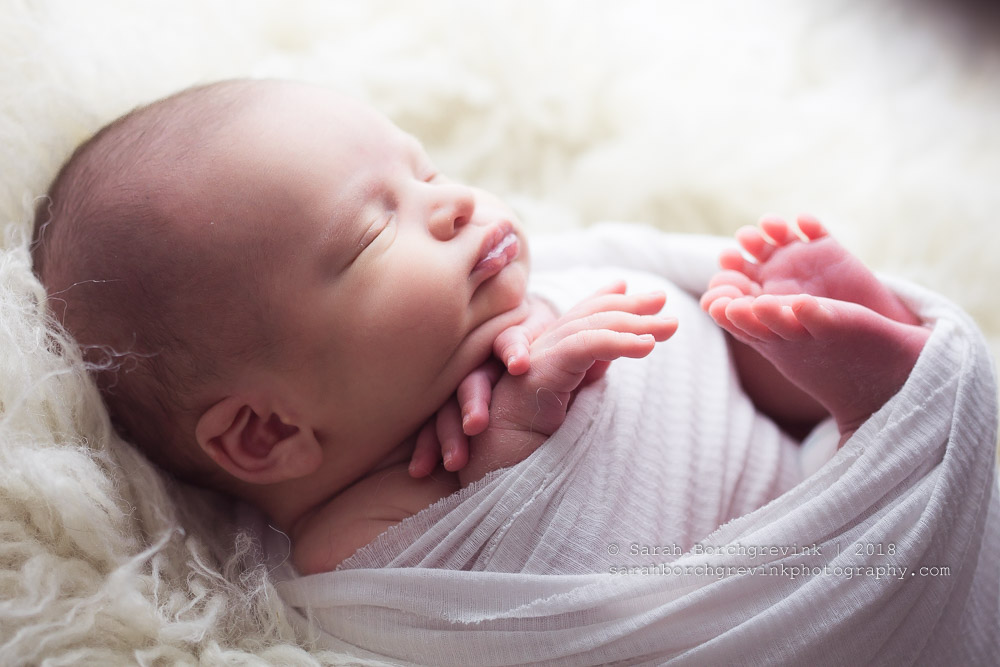 Newborn Photography Lighting Tips