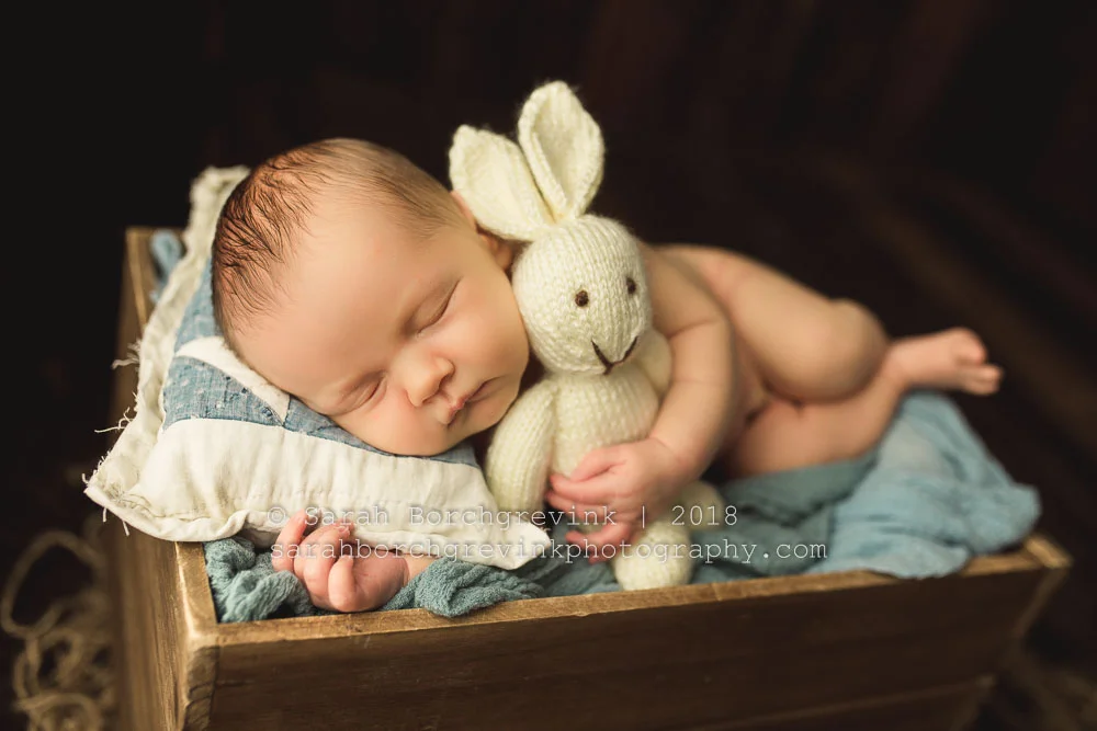 Newborn Inspiration through Nursery Colors + Sneak of a 9 LB Squish