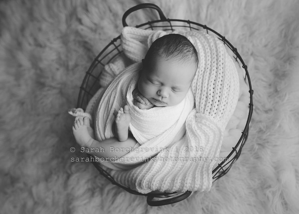 Best Houston Newborn Photographer