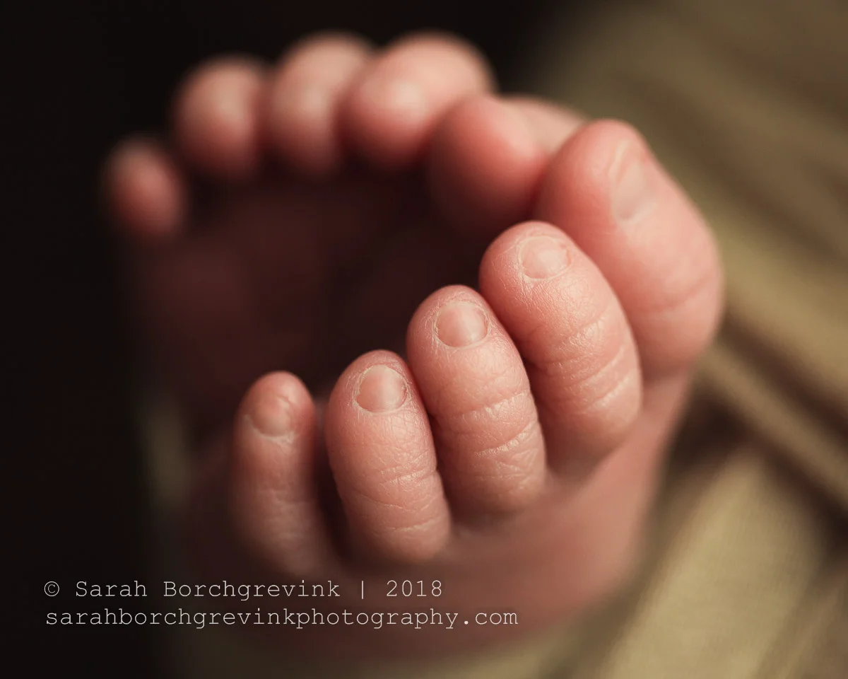 Baby’s Unique Features Macro Details Included for a Soulful Gallery