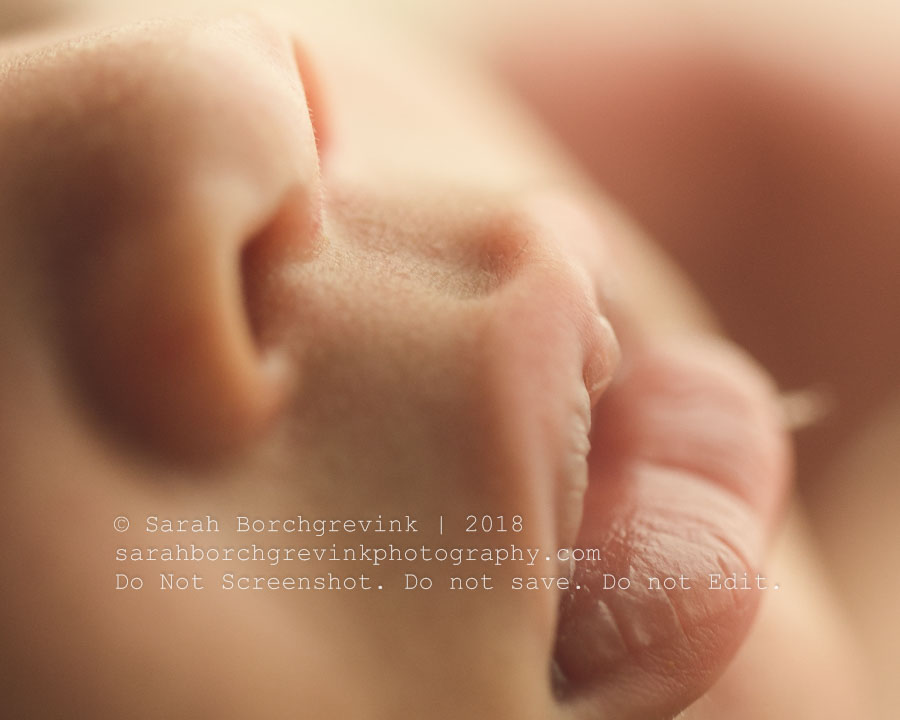 Macro image of newborn lips