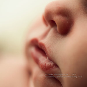 Best Newborn Photographer Houston