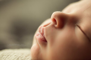 Newborn Photography Houston Price