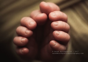 Up close detailed photo of newborn toes