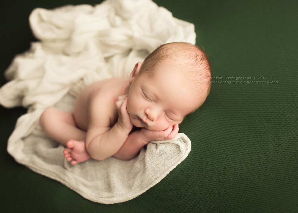 Newborn Photography Houston