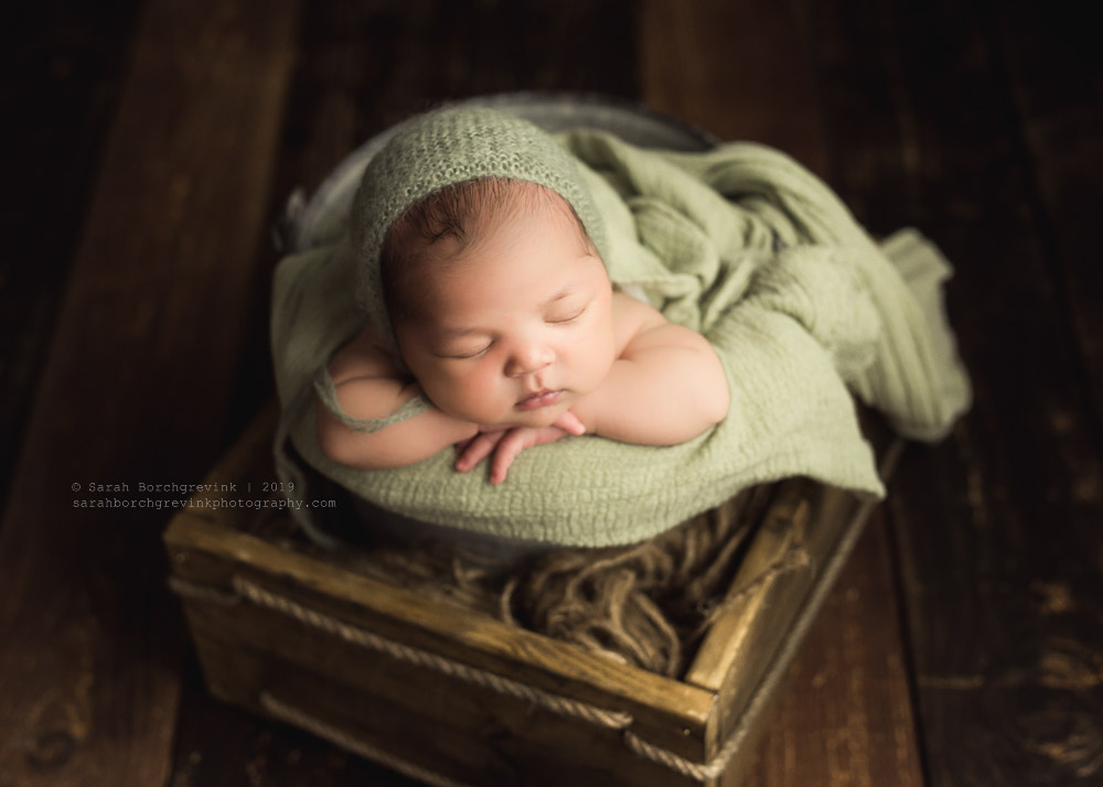 Rustic newborn photography sage green