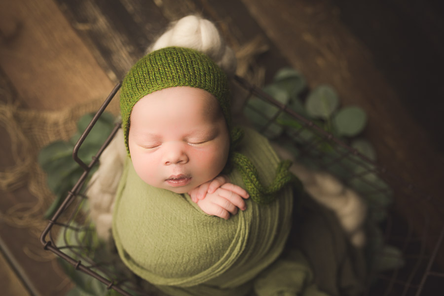 Posed Newborn Baby Portrait Photography