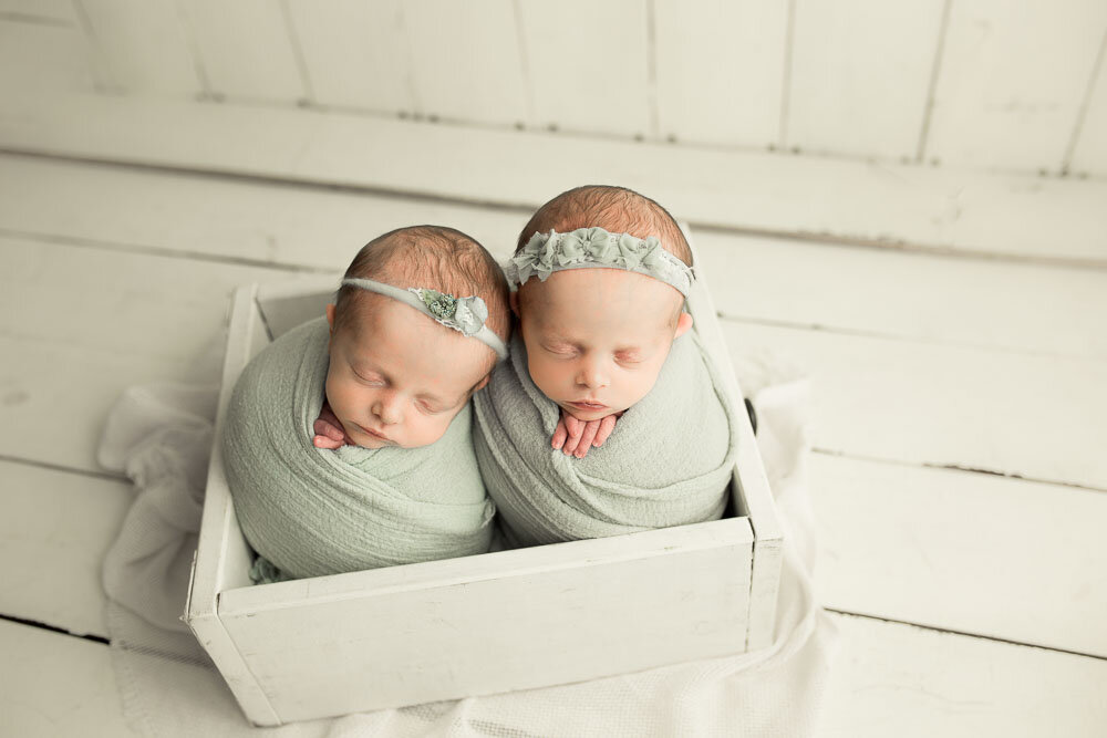 River Oaks Newborn Portrait Photography