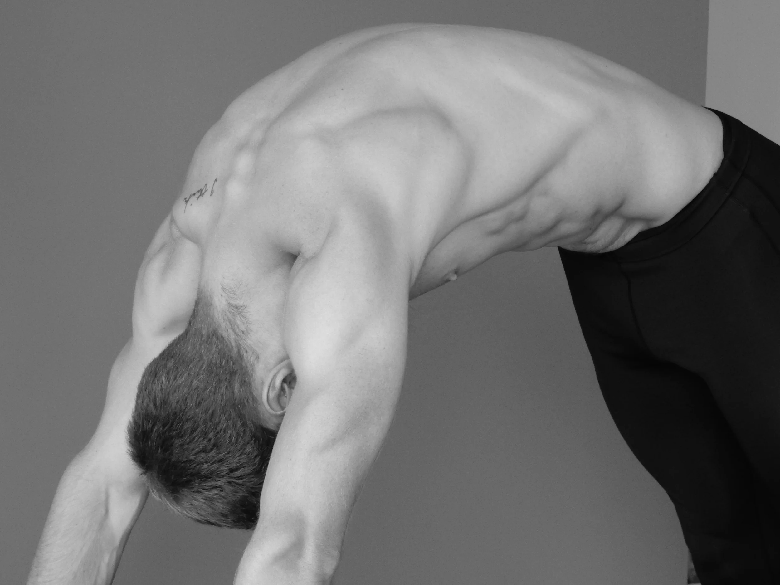 Elephant - Distilled Pilates, North Vancouver