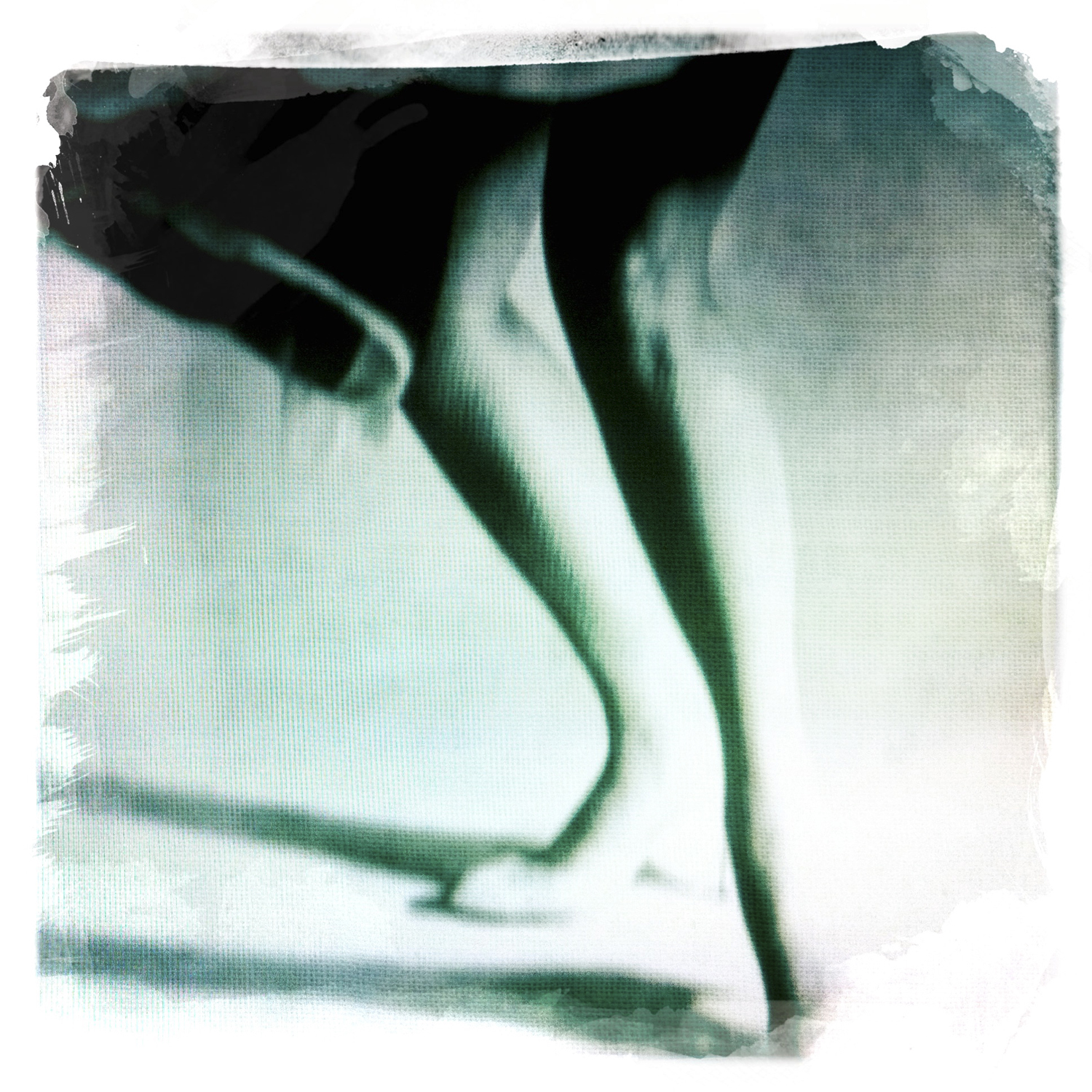 Dancer Legs.jpg