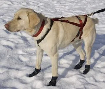 ultra paws one adjustable pulling dog harness