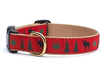 moose dog collar