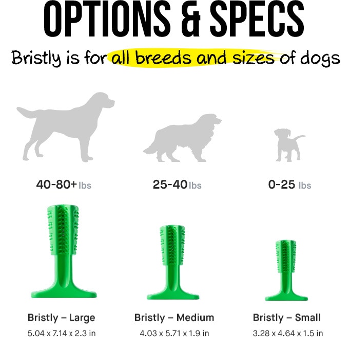 Bristly DIY Toothbrush for Dogs — Ruff 