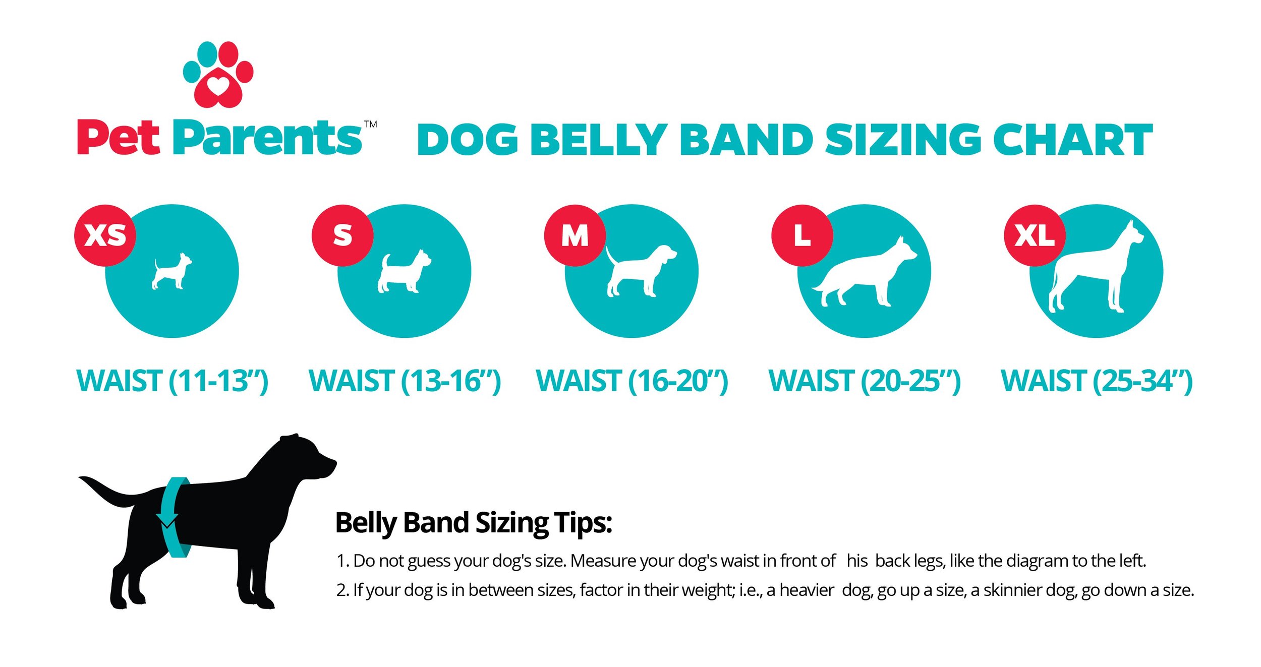 dog waist
