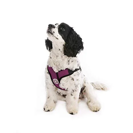 gooby easy fit harness small