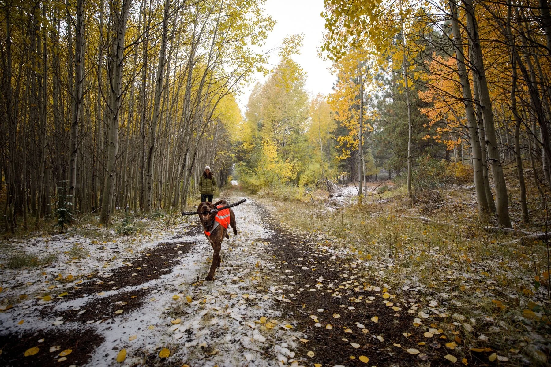 ruffwear track jacket