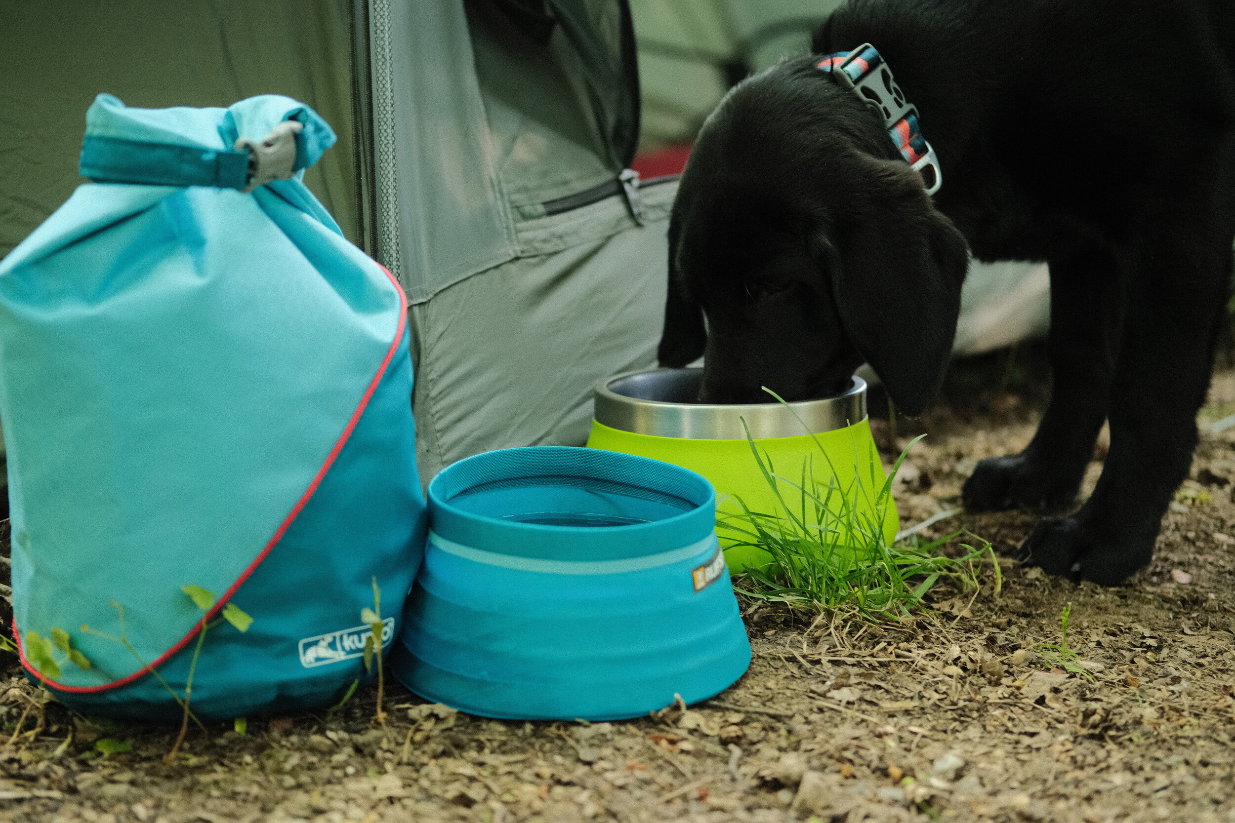 kurgo kibble carrier