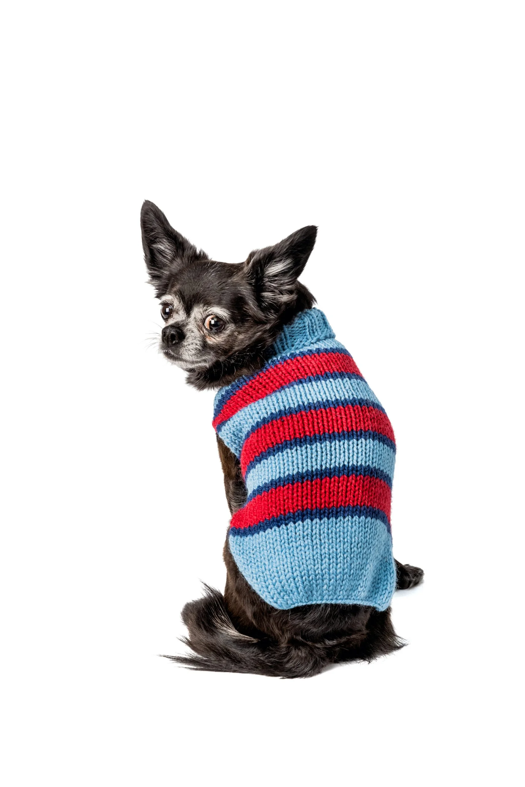 alpaca wool dog sweaters