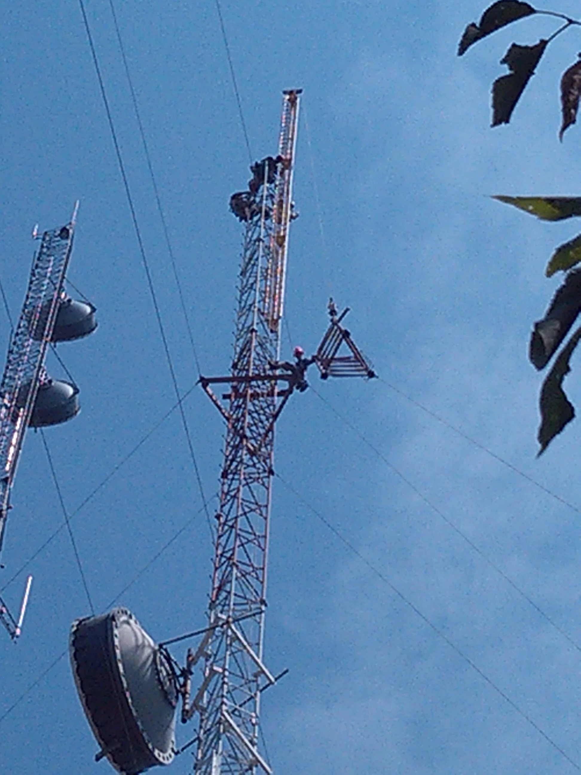 image4.jpg