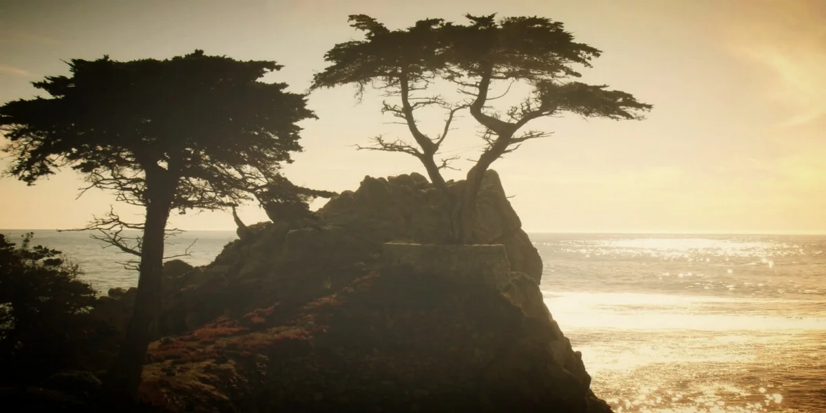 Lone_Cypress.jpg