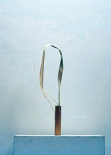 "Nadi Shodhana" cardboard, oil paint, palm leaf