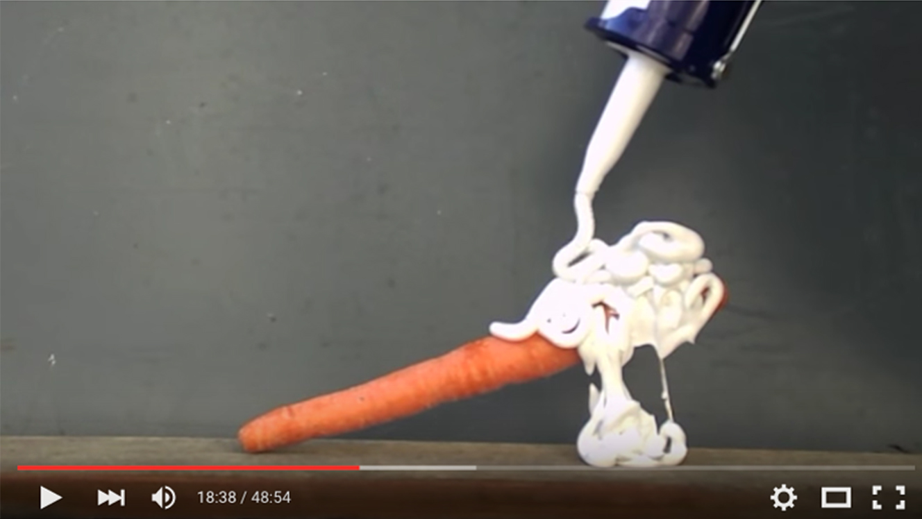 Carrot Video