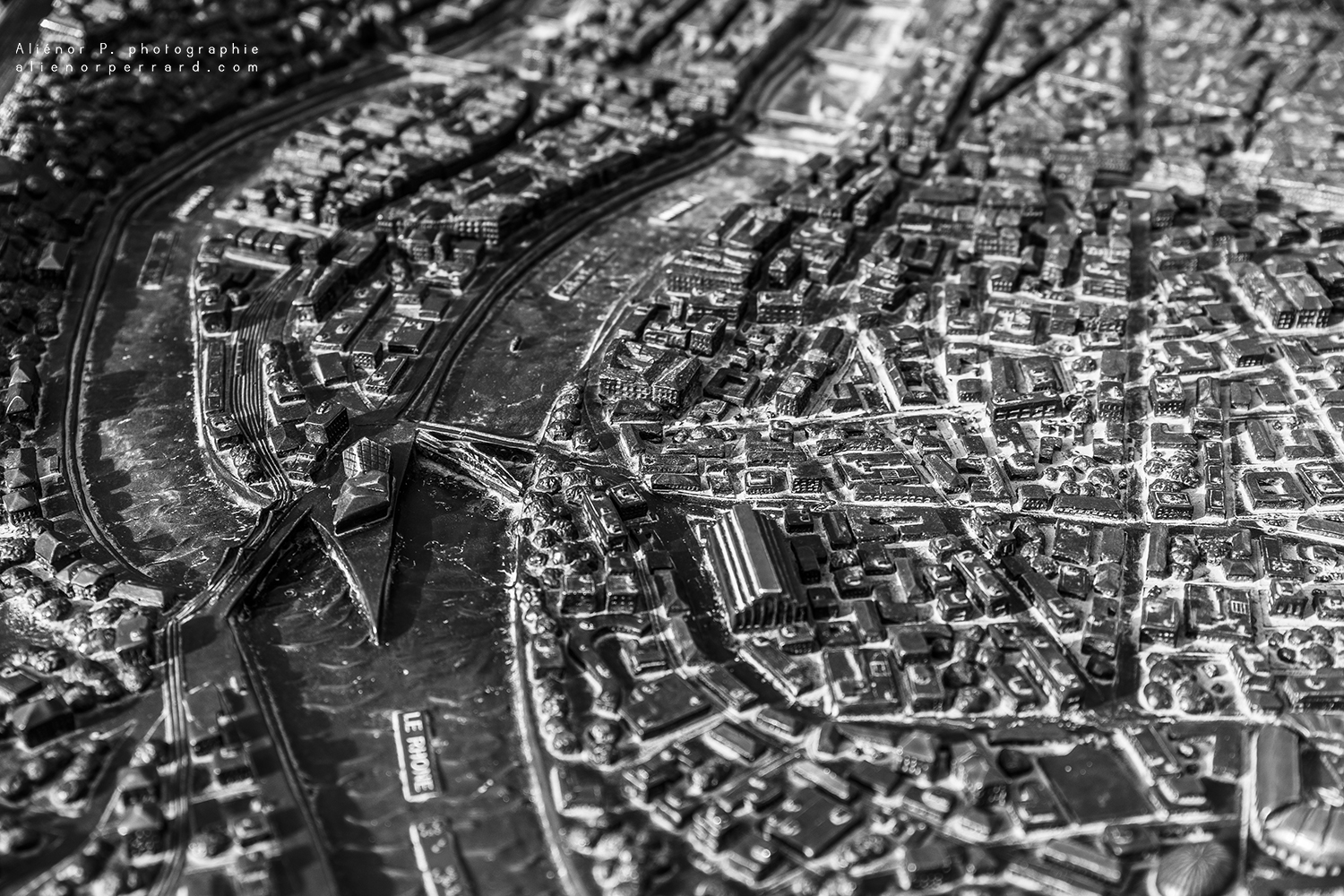 photographe lyon
