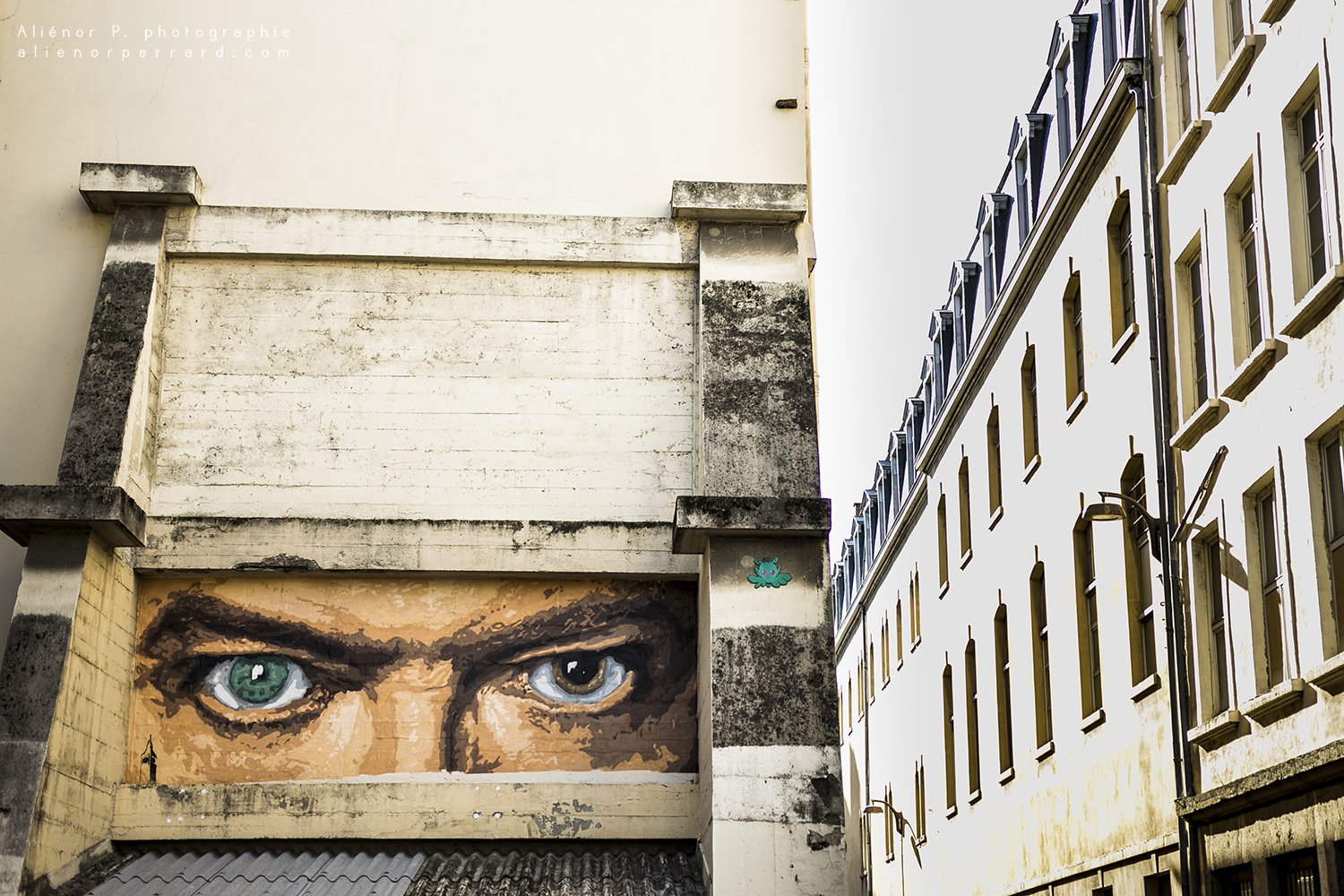 photographe croix-rousse